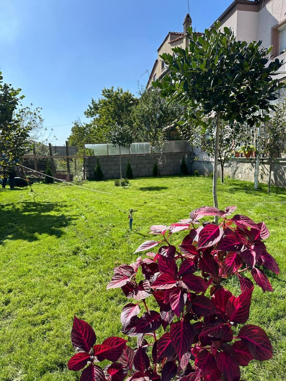 Villa Blissful